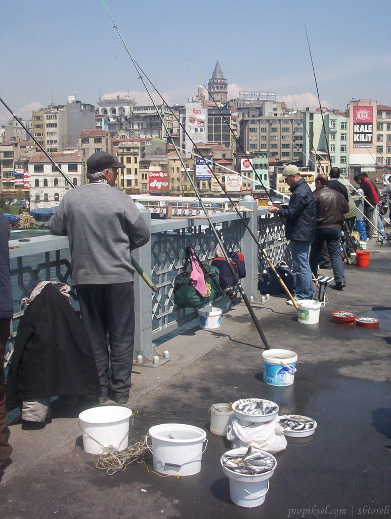 Galata'nn balklar