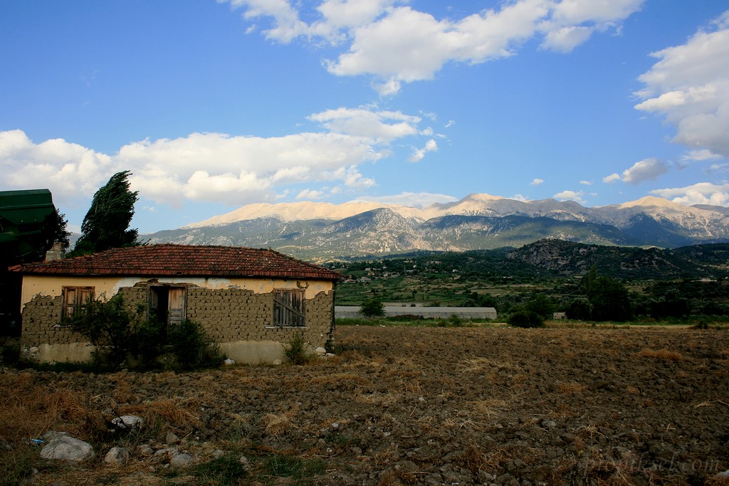 Tarla Evi