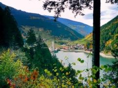 Uzungl